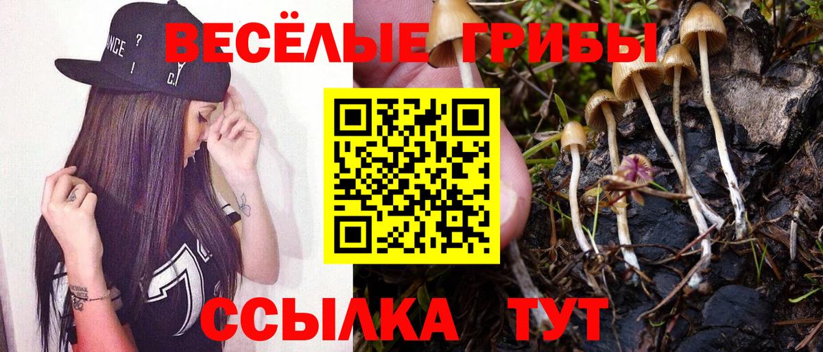 Псилоцибиновые грибы прущие грибы  Галлюциногенные грибы Psilocybe  Вход с VPN  Улан-Удэ 